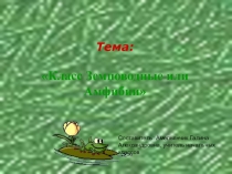 Презентация по окружающему миру Земноводные (2 класс)