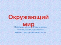 Презентация по окружающему миру Строение тела человека 2 класс