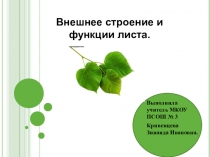Презентация по биологии на тему Внешнее строение листа и функции (6 класс)