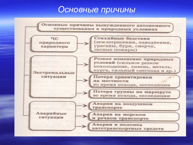 Схема основные причины вынужденного автономного существования в природных условиях