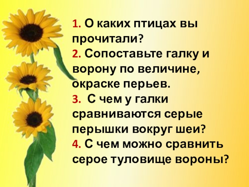 1. О каких птицах вы прочитали? 2. Сопоставьте галку и ворону по величине, окраске перьев. 3. С