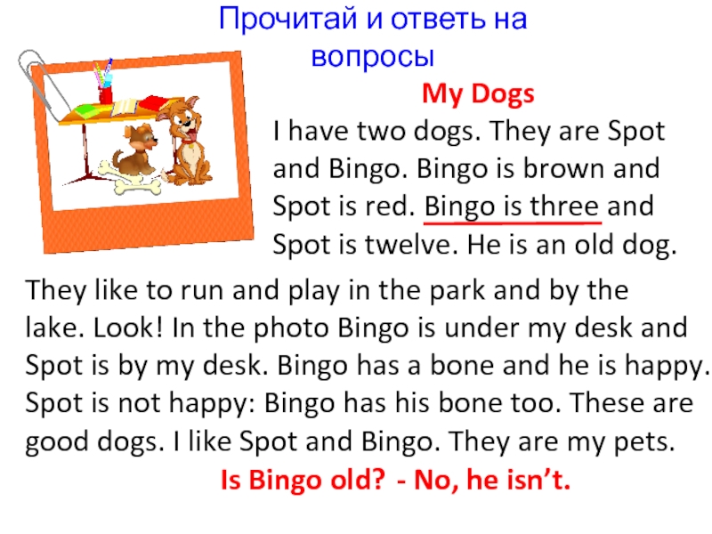 Прочитай и ответь на вопросыMy DogsI have two dogs. They are Spotand Bingo. Bingo is brown andSpot