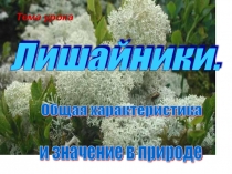 Презентация по билогии на темуГруппа Лишайников (7класс)