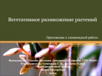 Презентация по биологии на тему Вегетативное размножение растений (6 класс)