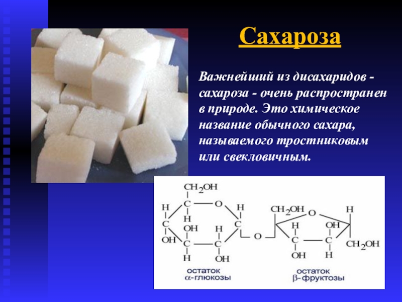 Картинки сахароза из геншин