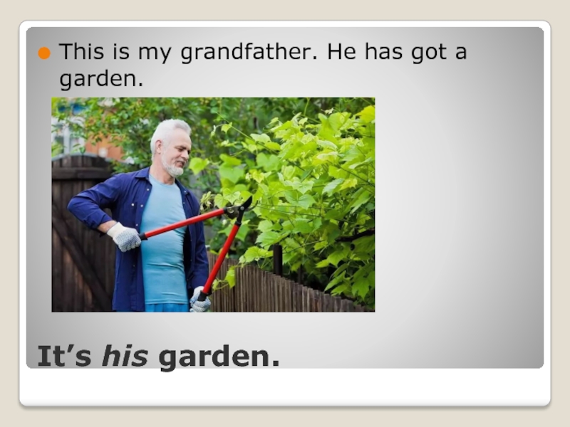 This is his garden