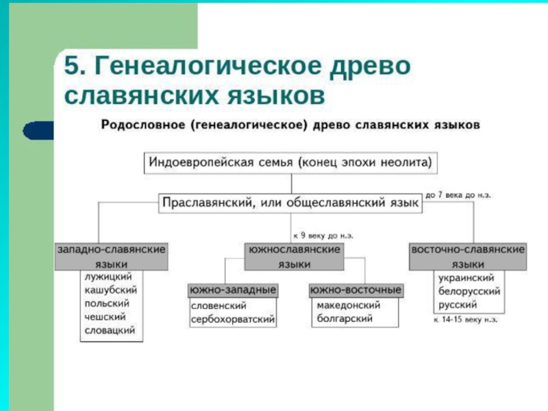 Славянские языки в современном мире презентация