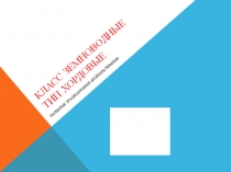 Презентация по биологии Класс Земноводные.