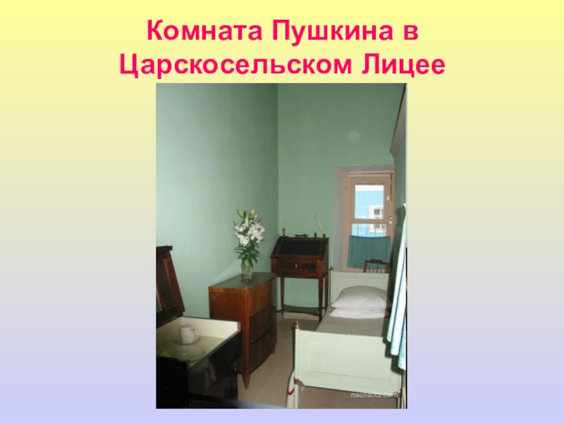 Пушкина 1 комната