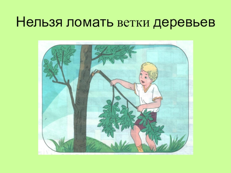 Деревья нельзя. Не ломать ветки деревьев. Запрещено ломать ветки деревьев. Ломать деревья. Нельзя ломать деревья в лесу.