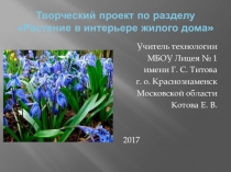 Презентация по технологии на тему Творческий проект Растение в интерьере жилого дома (6 класс)