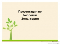Презентация по биологии Зоны корня