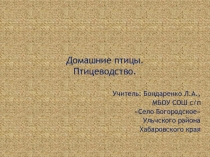 Презентация Домашнее птицеводство. Куры.