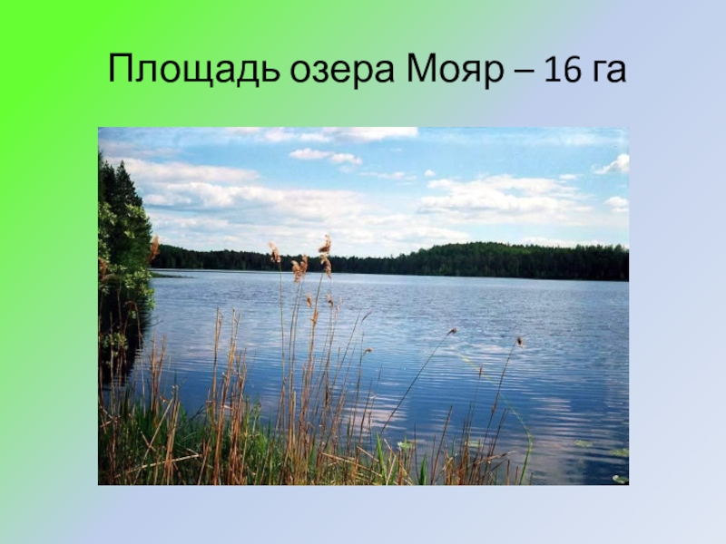 Территория озер. Озеро Мояр. Площадь озера. Как найти площадь озера. Площадь озера площадь у озера.