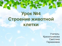 Презентация по биологии на тему Строение животной клетки