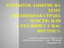 Презентация к занятию - игре  Волшебная страна чувств