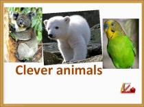 Презентация для 3 класса на тему Clever animals