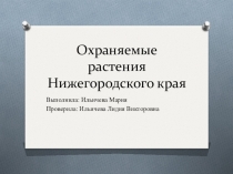 Презентация по биологии на тему Охраняемые растения Нижегородского края