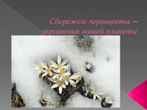 Электронная книга первоцветов для детей