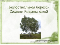 Презентация Белоствольная береза - символ Родины моей