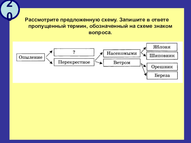 На схеме знаком вопроса обозначен этап потребности в информации