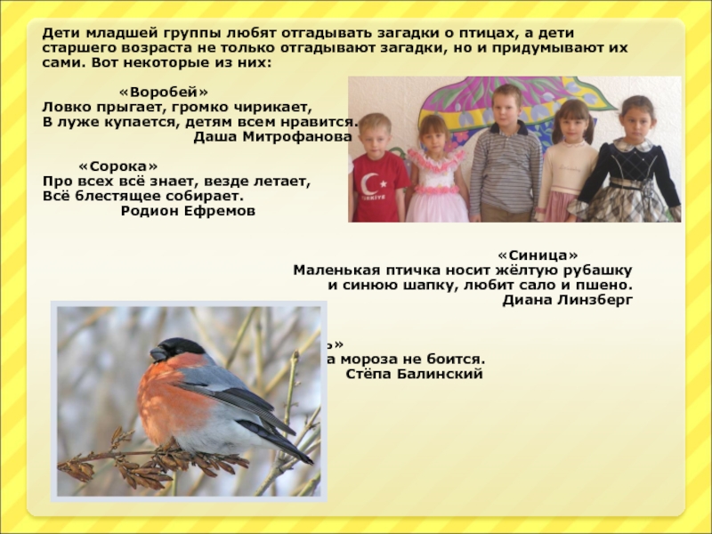Дети младшей группы любят отгадывать загадки о птицах, а дети старшего возраста не только отгадывают загадки, но