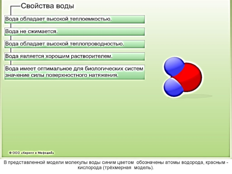 Химический состав клетки 10 класс презентация