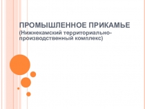 Экономико - географические районы Татарстана