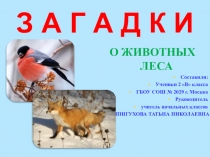 ПРЕЗЕНТАЦИЯ ЗАГАДКИ О ЖИВОТНЫХ ЛЕСА