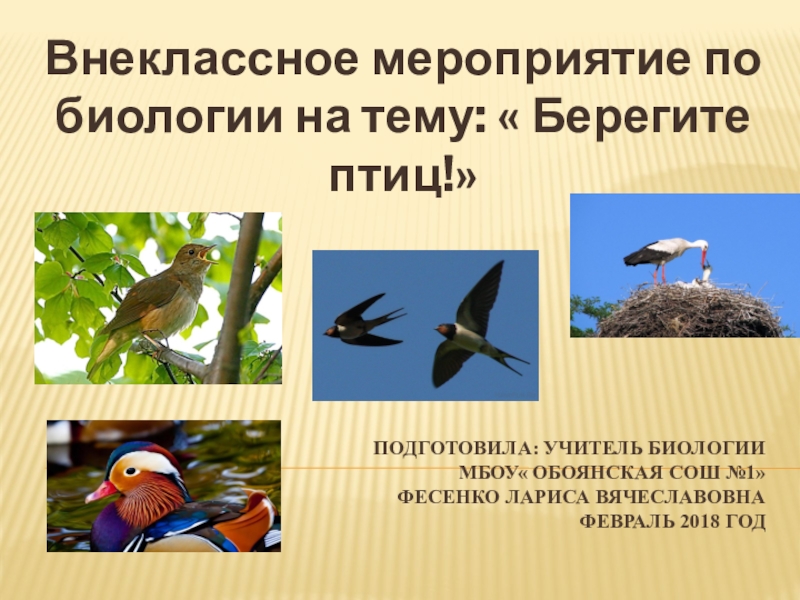 Презентация к внеклассному мероприятию  Берегите птиц