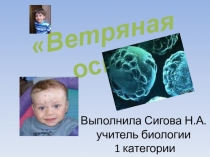 Презентация по биологии на тему Вирусы (11 класс)