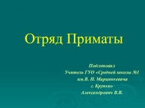 Презентация по теме Класс Млекопитающие. Отряд Приматы