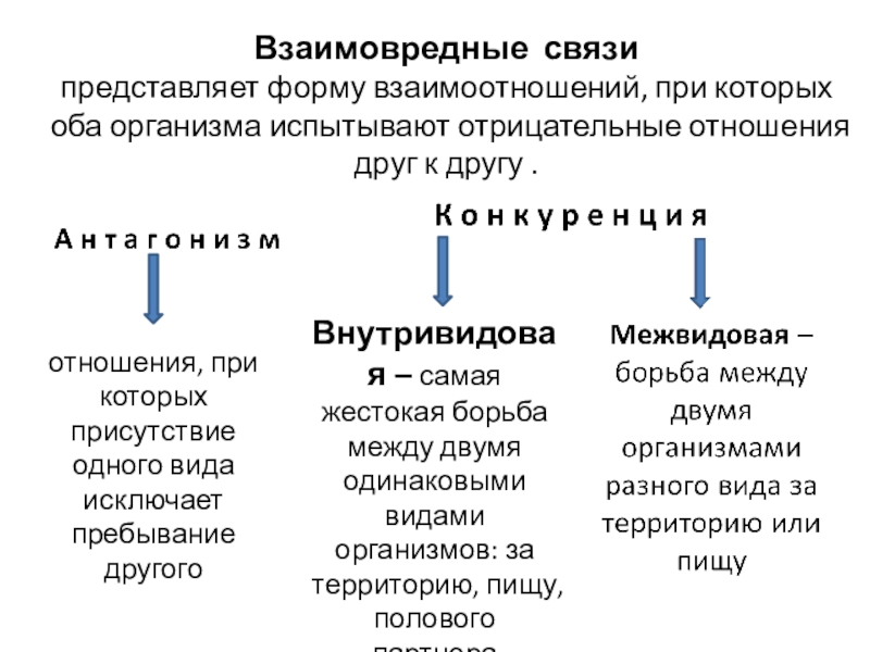 Взаимовредные связи  представляет форму взаимоотношений, при которых оба организма испытывают отрицательные отношения друг к