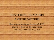 ; Значение дыхания в жизни растений,