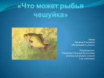Презентация по окружающему миру Что может рыбья чешуйка