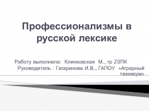 Презентация по русскому языку на тему Профессионализмы в русской лексике