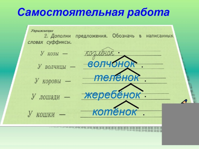 Правописание суффиксов онок енок 3 класс презентация