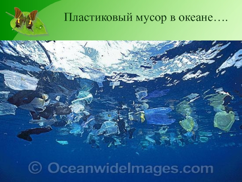 Пластиковый мусор в океане….