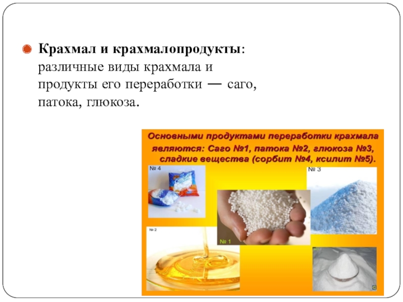 Модифицированные крахмалы презентация