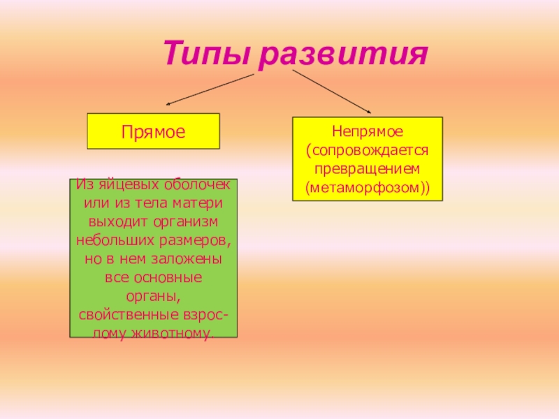 9 класс постэмбриональное развитие презентация