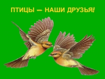 Викторина Птицы - наши друзья!