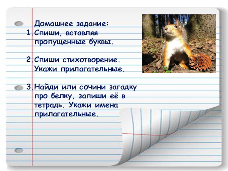 Спиши загадку. Стихи списать в тетрадь. Задание списать стихотворение. Стихотворение для списывания. Списать загадки.