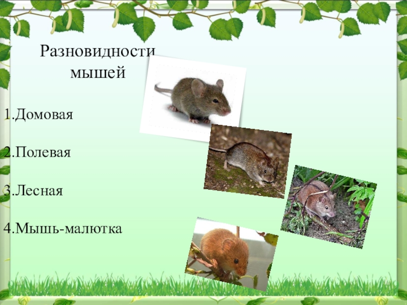 План мышонок пик 3 класс план