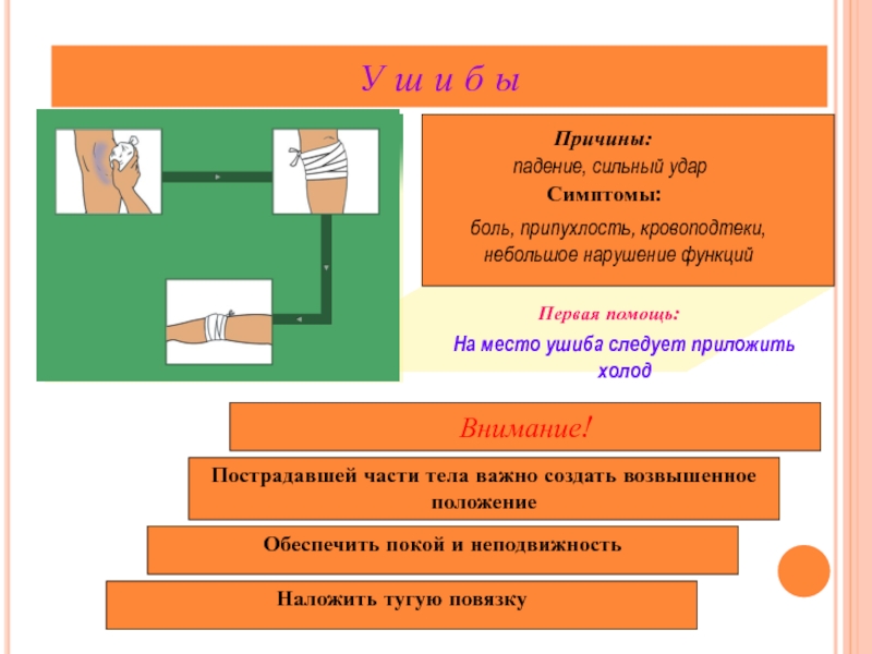 Первая помощь при травмах биология 8 класс презентация