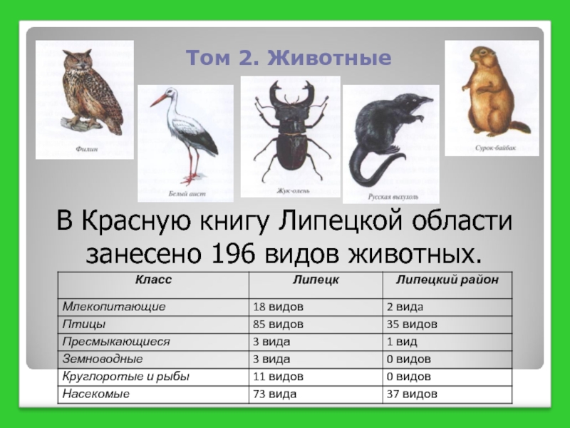 Том 2. Животные		В Красную книгу Липецкой области занесено 196 видов животных.