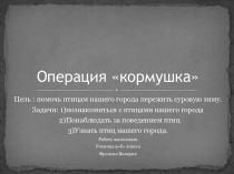 Презентация к экологическому проекту Кормушка своими руками Фролова Лера