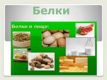 Белки