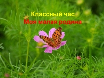 Классный час для 6 класса Моя малая родина