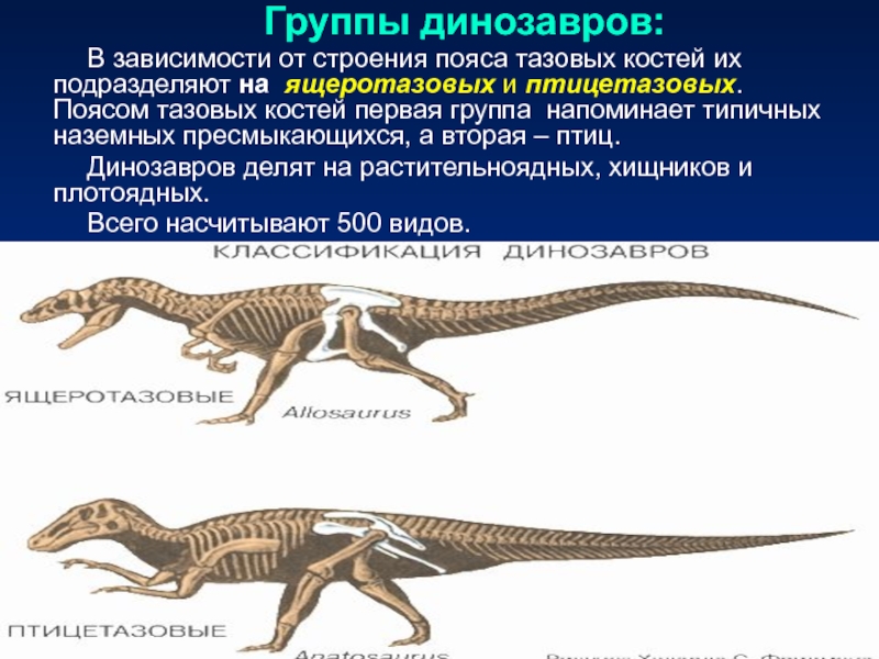 Классификация динозавров схема