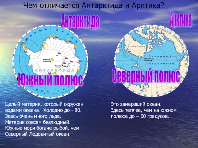 Арктика и антарктида отличия. Арктика и Антарктида на карте. Арктика и Антарктида разница. Антарктида Арктика Антарктика разница.